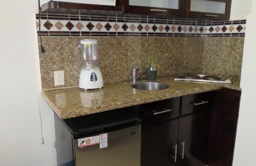 Reforma Apartment | Suites Melchor Ocampo 445