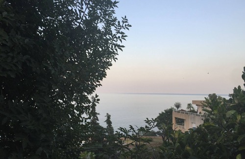 Pietranera Apartment | SUMMER RENTAL T2 ON PIETRANERA NEAR THE BEACH OF GRIGIONE BEGINNING CAP CORSE