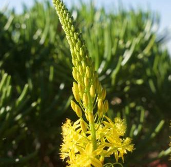 Ethekwini House | Summerhill Guest Estate