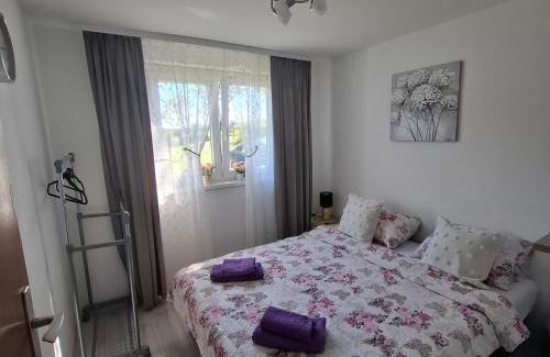 Gornji Milanovac House | Sumska vila Zorica