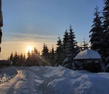 Kopaonik Apartment | Sunčani breg 3
