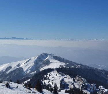 Kopaonik Apartment | Sunčani breg 3