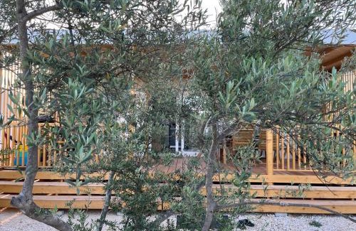 Drage Resort | SUN&MOON