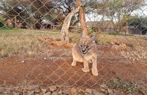 Marble Hall Cabin | Sundowners Game Lodge
