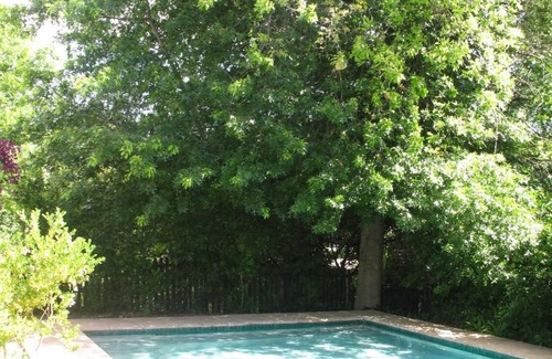 Franschhoek Apartment | Sunny Lane