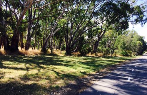 Echuca Hotel | Sunny Shackell - Echuca Moama Holiday Accommodation
