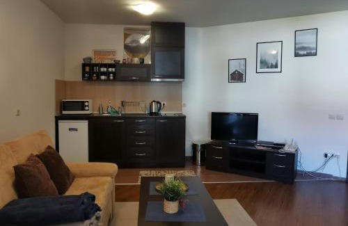 Shiligarnika Apartment | Sunny studio apartment - few steps from Gondola