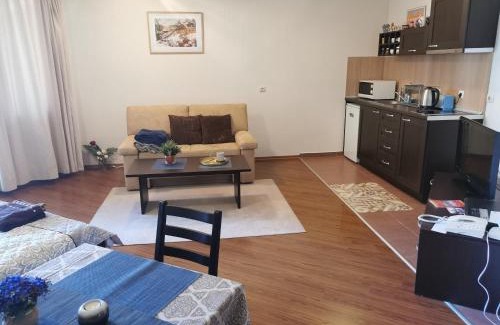 Shiligarnika Apartment | Sunny studio apartment - few steps from Gondola
