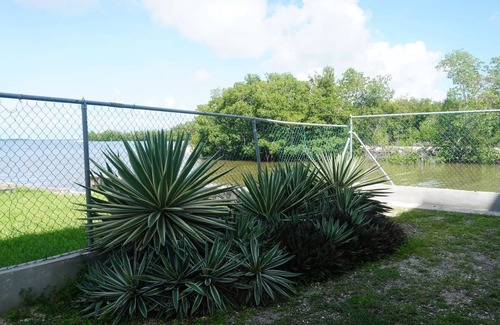 Belize City Apartment | Sunrise Seaview Studio with Pool & Deck, 1st Floor