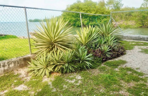 Belize City Apartment | Sunrise Seaview Studio with Pool & Deck, 1st Floor