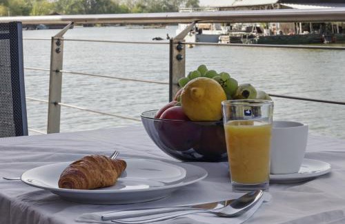 Rusovce House | Sunset view Housboat with sundeck,AC&Heating