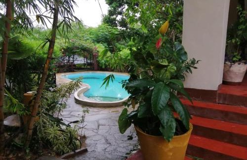 Kilifi Villa | Sunset Villa's Tropical Garden House