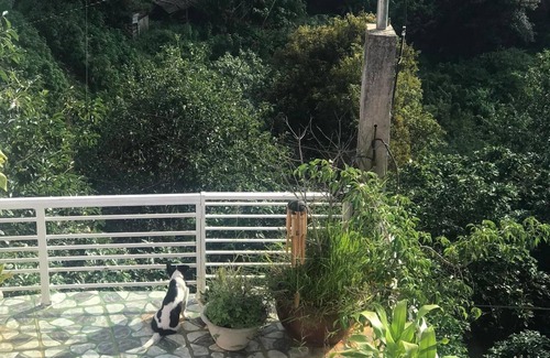 Phuong 10 House | Sunyata - Nhà Viên Mãn nForest View