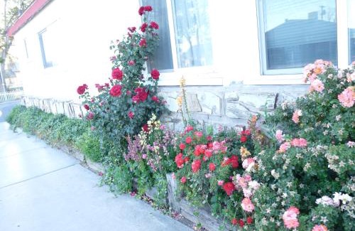 Seligman Hotel | Supai Motel