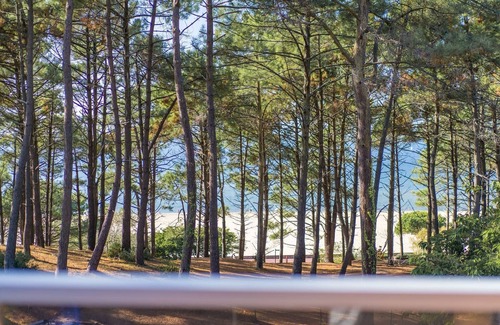 Arcachon Villa | Superb villa 50 metres from Péreire beach
