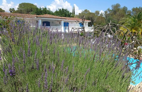 Valescure Apartment | Superbe appartement de standing Le Trophée du Golf