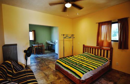 Todos Santos Apartment | Superbe appartement avec chambre, piscine et parking privé