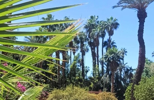 Majorelle Apartment | Superbe Apt Vue Exceptionnelle sur les Jardins Majorelle, Rue Yves Saint Laurent