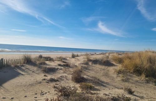 Marseillan Plage Apartment | Superbe Studio Rénové les pieds dans l'eau!