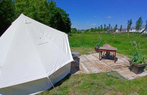 Ohey Other | Sur les pres