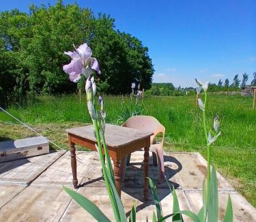 Ohey Other | Sur les pres