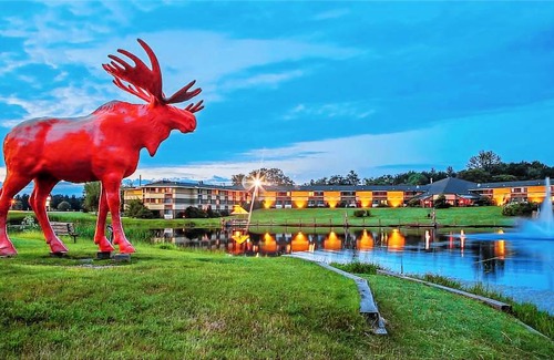 Black River Falls Hotel | SureStay Plus Hotel by Best Western Black River Falls