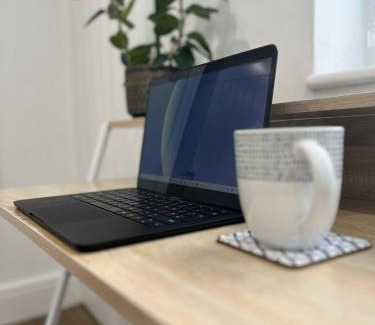 Cyncoed Apartment | Swan Lake Lodge & free parking