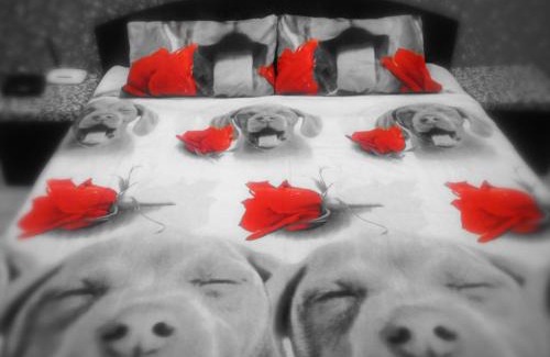 Shevchenkivs'kyi District Apartment | Sweet Home Apartment