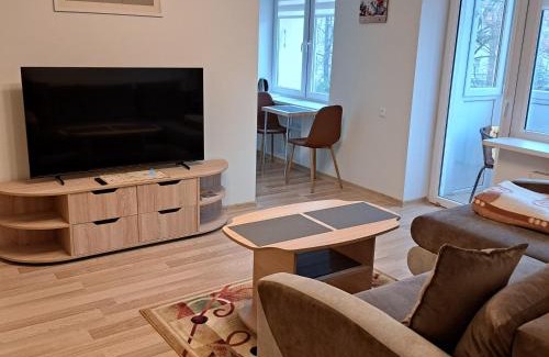 Siauliai City Center Apartment | Sweet home