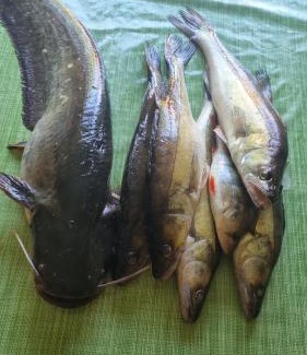 Koknese House | Sweet Home