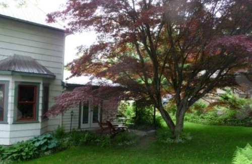 Nelson Apartment | Sweet private studio just minutes from the downtown core.