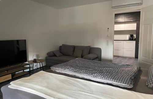 Delitzsch Apartment | SWID Appartement 9