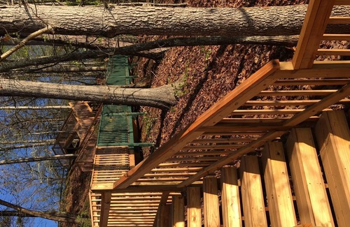Sunset Cove Cottage | Swimming and fishing right off your deck!
