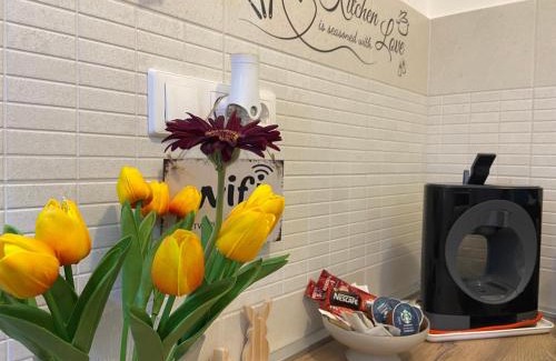 Szeged Apartment | Szeged Sunshine Apartman