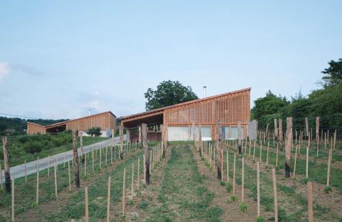 Szekszard Apartment | Szegzárd - the lodge