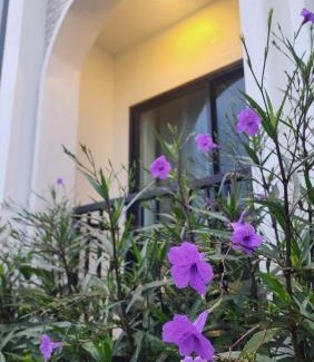 Koh Lan Hotel | T'estimo Kohlarn