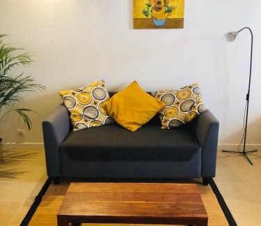 Anatole France Apartment | T1 Bis tres proche centre et canal