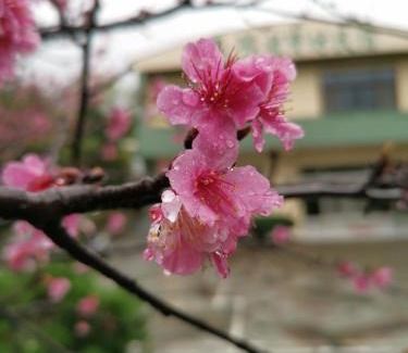 Luye House | Tai Yu Ju Bao Fang B&B