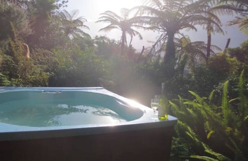 Tairua House | Tairua Treetops - Relaxation+