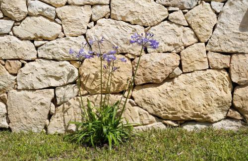 Avola House | Talia chi Meravigghia