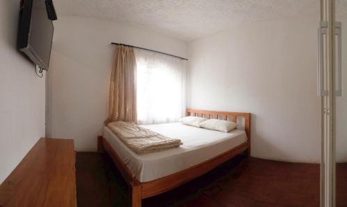 Dieng Kulon Hostel | Tani Jiwo Hostel