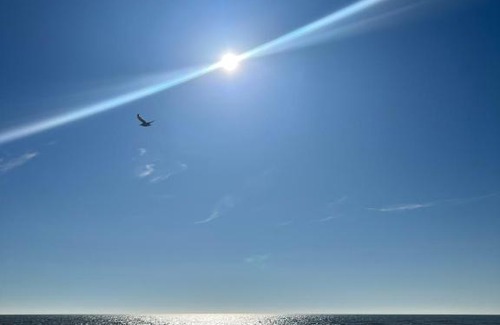 Dymchurch Resort | Tarilana