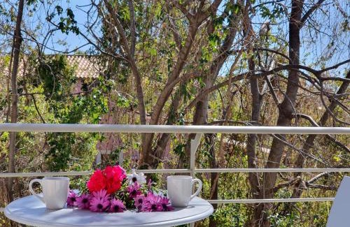 Stoupa House | Tasos Rooms