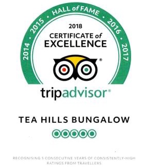 Hatton Ski Chalet | Tea Hills Bungalow