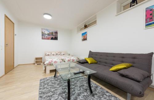 Pelgulinn Apartment | Telliskivi apartment 16