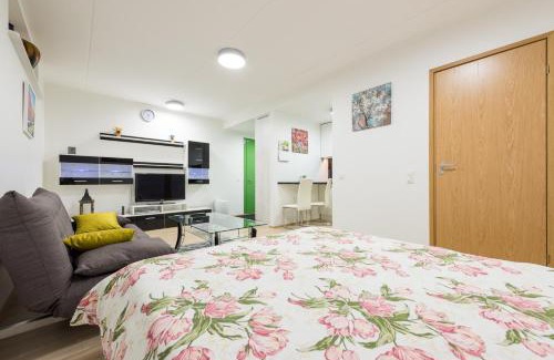 Pelgulinn Apartment | Telliskivi apartment 16