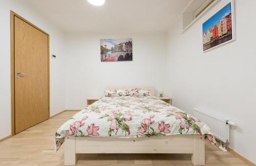 Pelgulinn Apartment | Telliskivi apartment 16