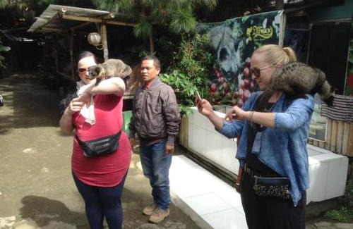 Soreang Other | Tenda Sederhana, Soreang River Side Ciwidey