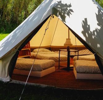 Kokotia Other | Tente dortoir partagée - Hegoa Surf Camp Pays Basque - Dorm - Compartida