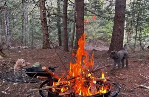 Lyndeborough RV Rental | Tentrr Signature Site - The Bubbling Brook